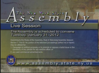 Bronx Hearing - January 31, 2012