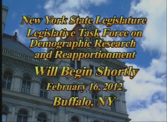 Buffalo Hearing - February 16, 2012