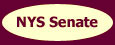 NYS Senate